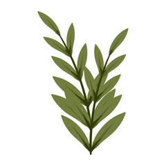 hand drawn colorful flower isolated illustration