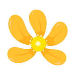 Hand drawn spring flower illustration on a white