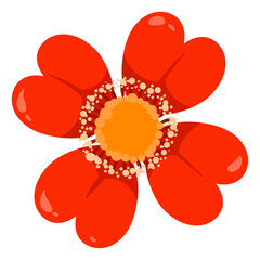 Hand drawn spring flower illustration on white background