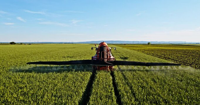 The farmer in his tractor sprays the industrial green wheat farm field
