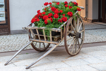 Chariot adorned with geraniums