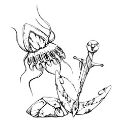 Jellyfish medusa with anchor, Marine life, sea ocean underwater creatures animal, Ink and pen sketch hand drawn. Composition illustration, stylized isolated on white. Shop, aquarium, cosmetics, resort