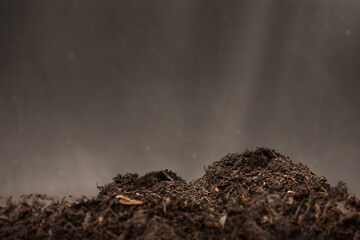A pile of dirt with a dark background. The dirt is brown and there are some leaves scattered...