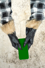 Werewolf hand with fur and black claws holding a mobile phone or cell phone. Blank mobile phone...