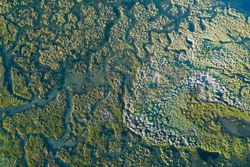 Ria Formosa Natural Park in Olhao, Algarve, Portugal