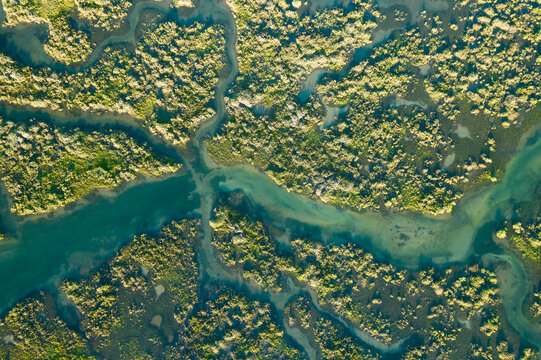 Ria Formosa Natural Park in Olhao, Algarve, Portugal