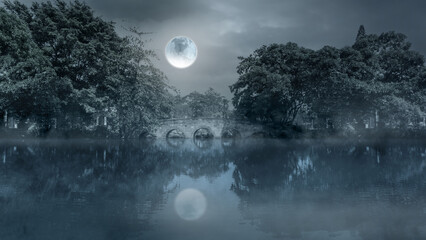 A large moon is reflected in the water of a swamp. Scene is scary and mysterious. The moonlight...