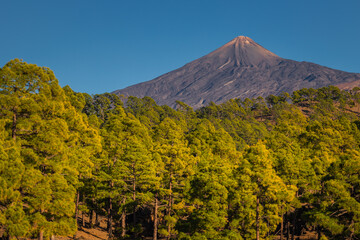 Teide volcano seen from the surrounding hills. Beautiful sunny weather favors such views.