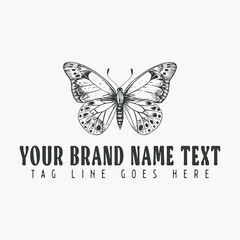hand drawn butterfly logo illustration