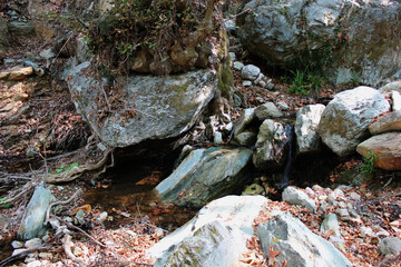 The path of the centaurs (after Cyclone Daniel) Portaria Pelion Greece