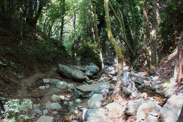 The path of the centaurs (after Cyclone Daniel) Portaria Pelion Greece