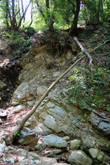 The path of the centaurs (after Cyclone Daniel) Portaria Pelion Greece