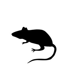 Mice Silhouette Black Rat Icons