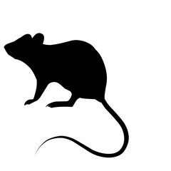 Mice Silhouette Black Rat Icons