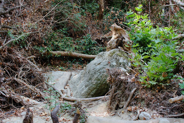 The path of the centaurs (after Cyclone Daniel) Portaria Pelion Greece
