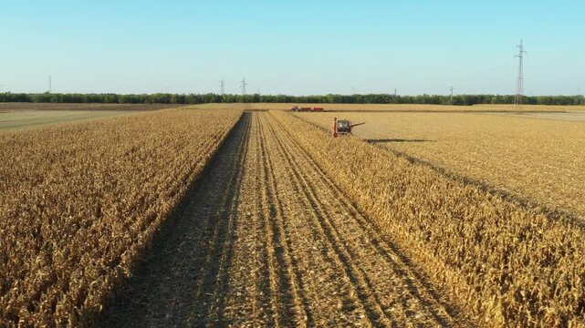 Aerial view of combine, harvester machine harvest ripe maize