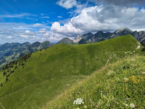 Swiss Trail Run at Grandvillard, Les merlas in la gruyere
