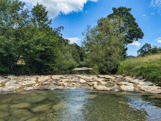 A beautifully serene river landscape featuring clear, sparkling water and vibrant trees beneath a...