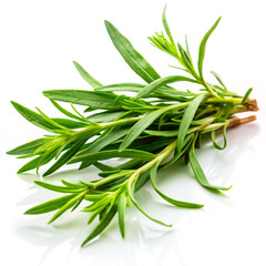 Obraz premium bunch of rosemarygreen, isolated, food, rosemary, fresh, herb, plant, vegetable, white, spice, healthy, leaf, ingredient, organic, raw, bean, herbal, closeup, bunch, nature, beans, leaves, freshness, 