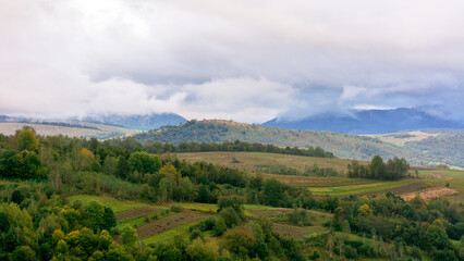 Obraz premium mountainous rural landscape on a rainy day in autumn. fields and trees on rolling hills beneath an overcast sky
