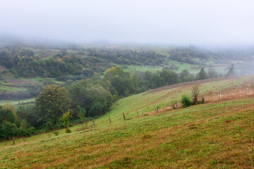 Obraz premium rural scenery with field on the hill. foggy weather. mountainous countryside landscape in autumn. forested slopes. transcarpathian region of ukraine in fall season