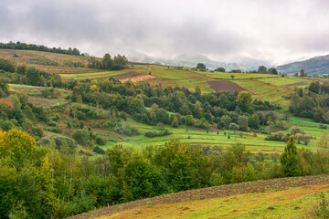 mountainous rural landscape on a rainy day in autumn. fields and trees on rolling hills beneath an...