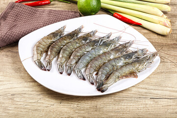 Raw fresh King Tiger prawn