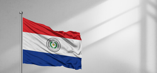 Paraguay national flag cloth fabric waving on beautiful window light grey Background.