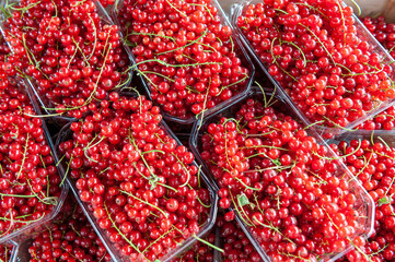 Food market in Copenhagen, Denmark