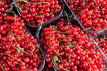 Food market in Copenhagen, Denmark