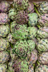 Food market in Copenhagen, Denmark