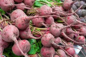 Food market in Copenhagen, Denmark