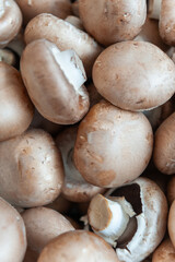 Food market in Copenhagen, Denmark