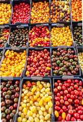 Food market in Copenhagen, Denmark