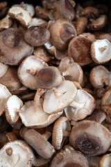 Food market in Copenhagen, Denmark