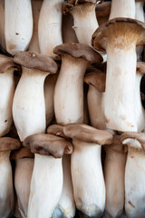 Food market in Copenhagen, Denmark