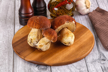 Raw natural wild porchini mushrooms