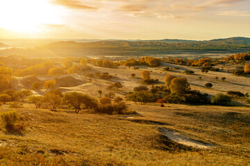 Obraz premium Grassland and birch forest, Inner Mongolia, China.