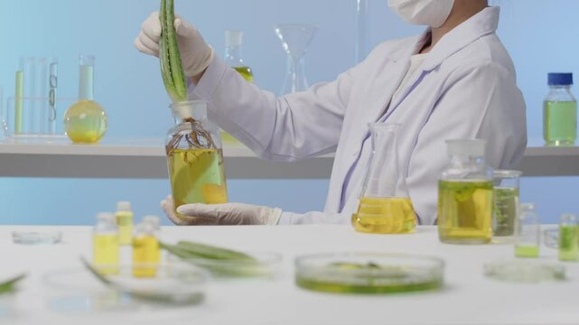 A scientist observes an aloe vera plant soaked in a yellow solution, then returns it and arranges it on a table alongside the solution and aloe vera samples, as seen in a modern laboratory video.