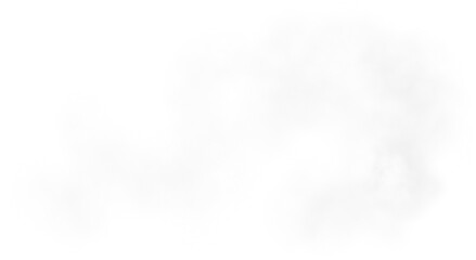 Enchanted Fog Overlay, Transparent Fog PNG