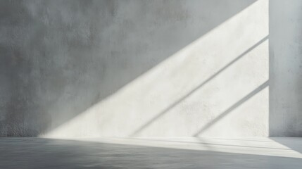 Minimalist interior with sunlight on concrete wall