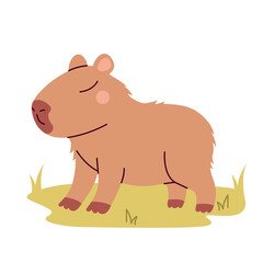 Capybara on green lawn  isolated on white background. Cute animal. Funny animal character.