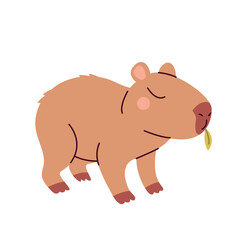Capybara eating leaf  isolated on white background. Cute animal. Funny animal character.