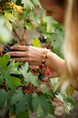 Picking and harvesting of luscious purple grapes growing in a lush garden