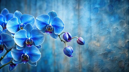 Fototapeta na wymiar Low angle view of serene blue orchids on textured abstract background