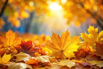 Low angle view of vibrant autumn leaves on tree branches against sky