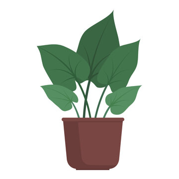 green potted plant on white background clip art preview