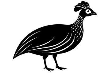 guinea fowl icon with Transparent Background - Versatile Clipart