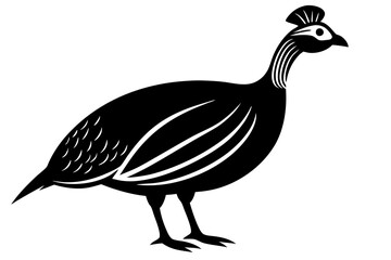 guinea fowl icon with Transparent Background - Versatile Clipart