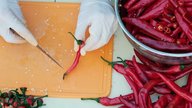 Close up shot of a man cutting blosom end rot from red hot pepper, wearing white latex gloves. Top view.